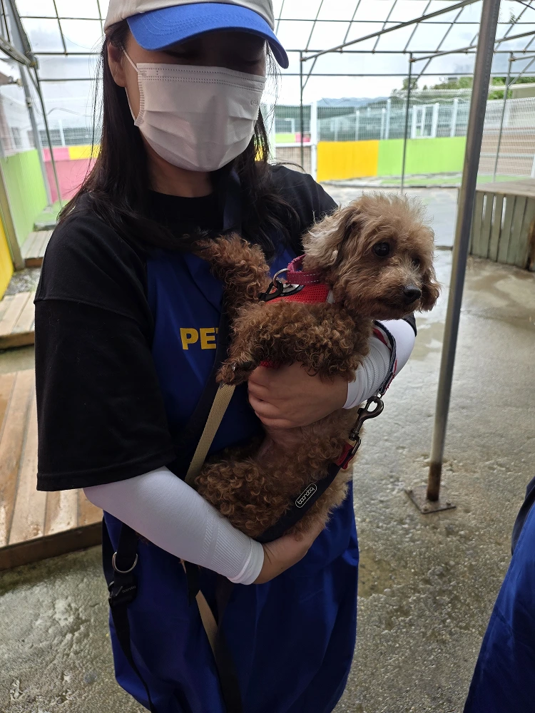 CSR activity image 4