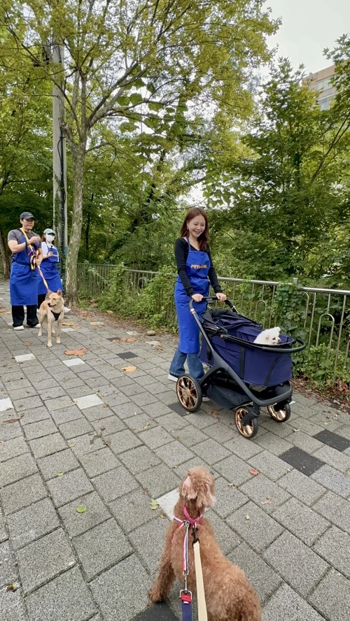 CSR activity image 6
